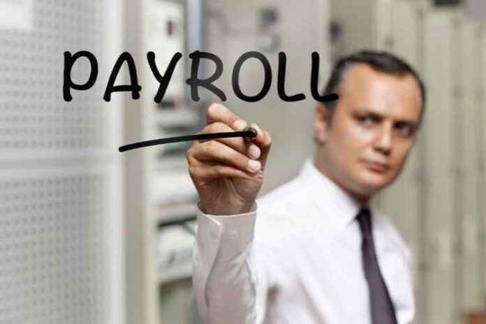 5 Reasons Why Error-Free Payroll Software is Needed