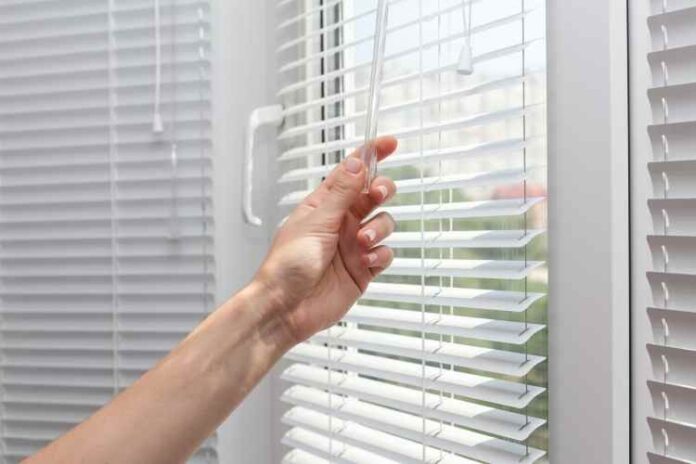 Top Reasons To Invest In Blinds