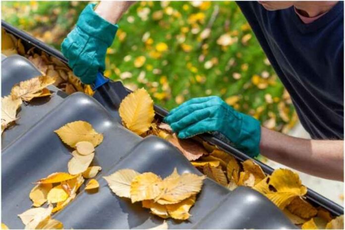 6 Common Gutter Maintenance Mistakes and How to Avoid Them