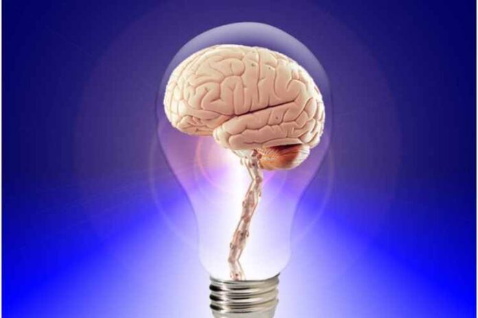 Top 3 Tips for Improving Your Brain Power